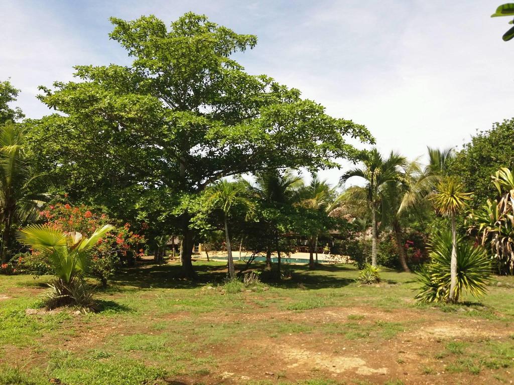 Kalipayan Beach Resort & Atlantis Dive Center 邦劳 外观 照片