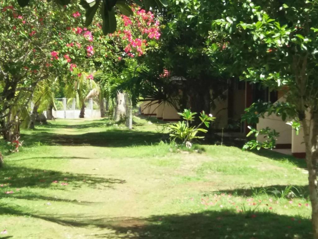 Kalipayan Beach Resort & Atlantis Dive Center 邦劳 外观 照片