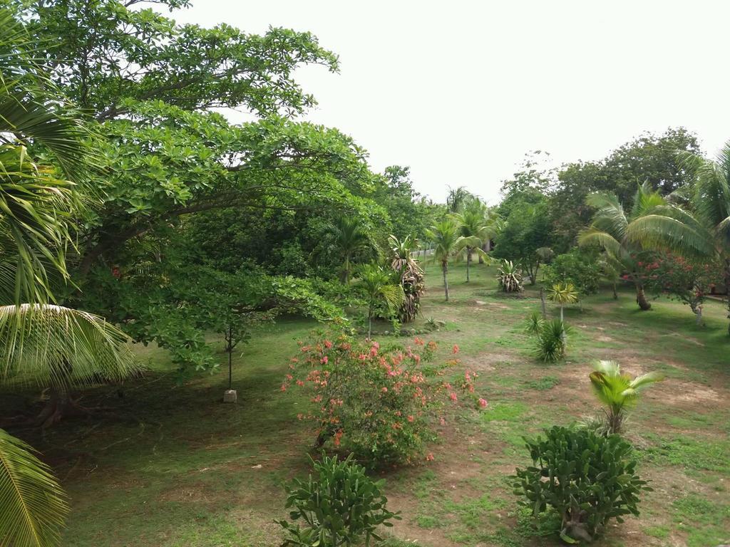 Kalipayan Beach Resort & Atlantis Dive Center 邦劳 外观 照片