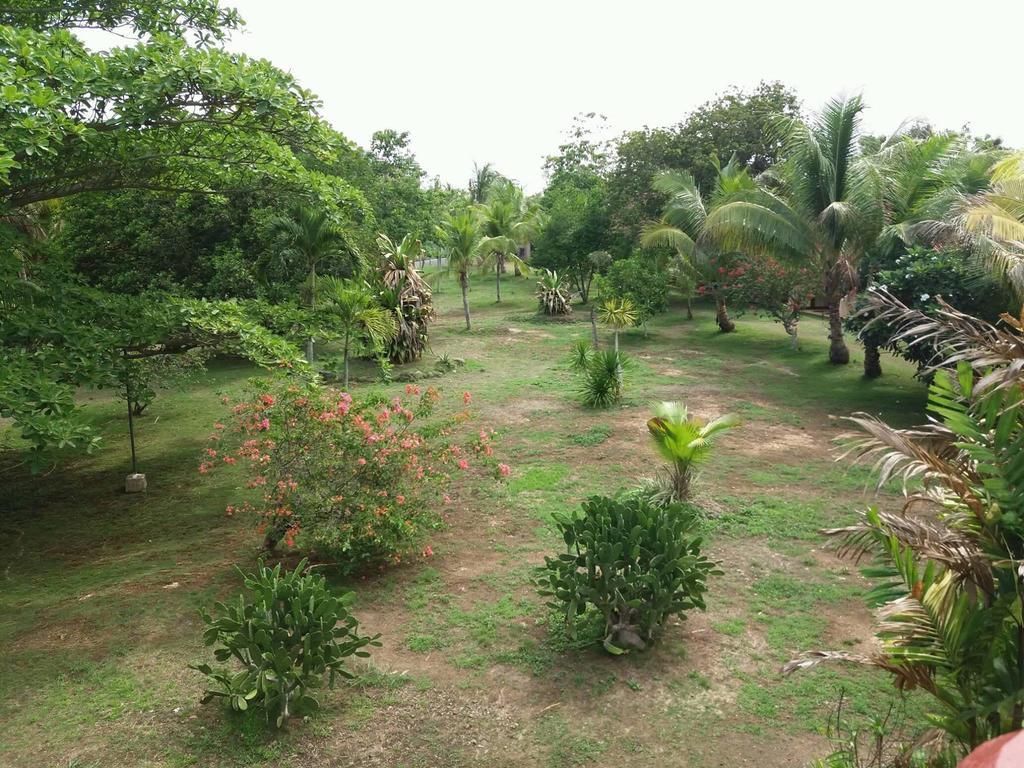 Kalipayan Beach Resort & Atlantis Dive Center 邦劳 外观 照片