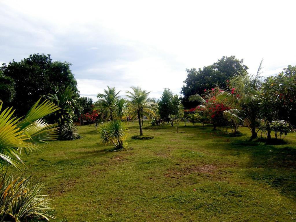 Kalipayan Beach Resort & Atlantis Dive Center 邦劳 外观 照片