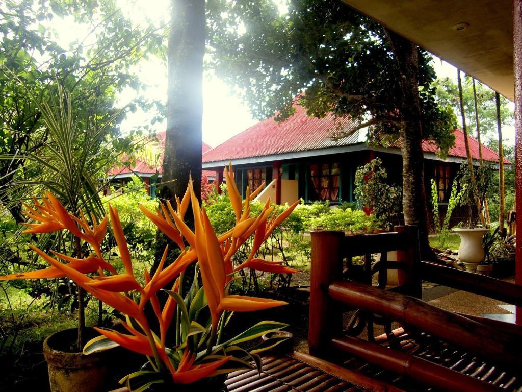 Kalipayan Beach Resort & Atlantis Dive Center 邦劳 外观 照片