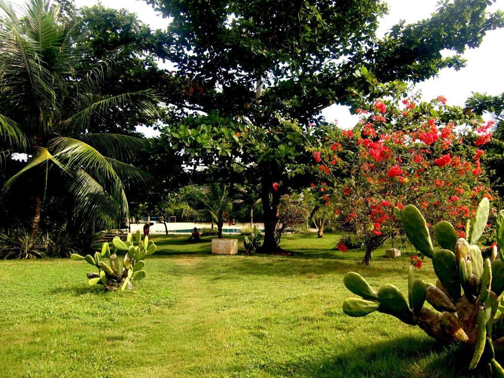 Kalipayan Beach Resort & Atlantis Dive Center 邦劳 外观 照片