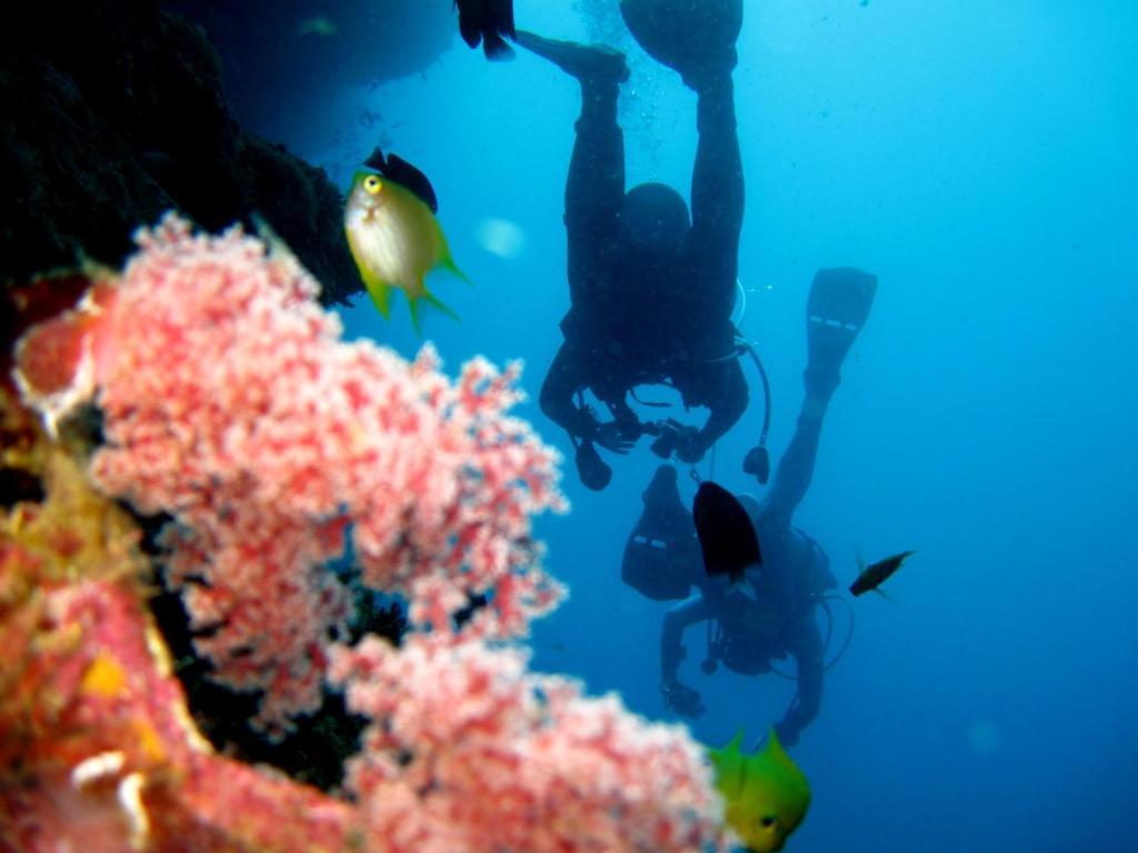 Kalipayan Beach Resort & Atlantis Dive Center 邦劳 外观 照片