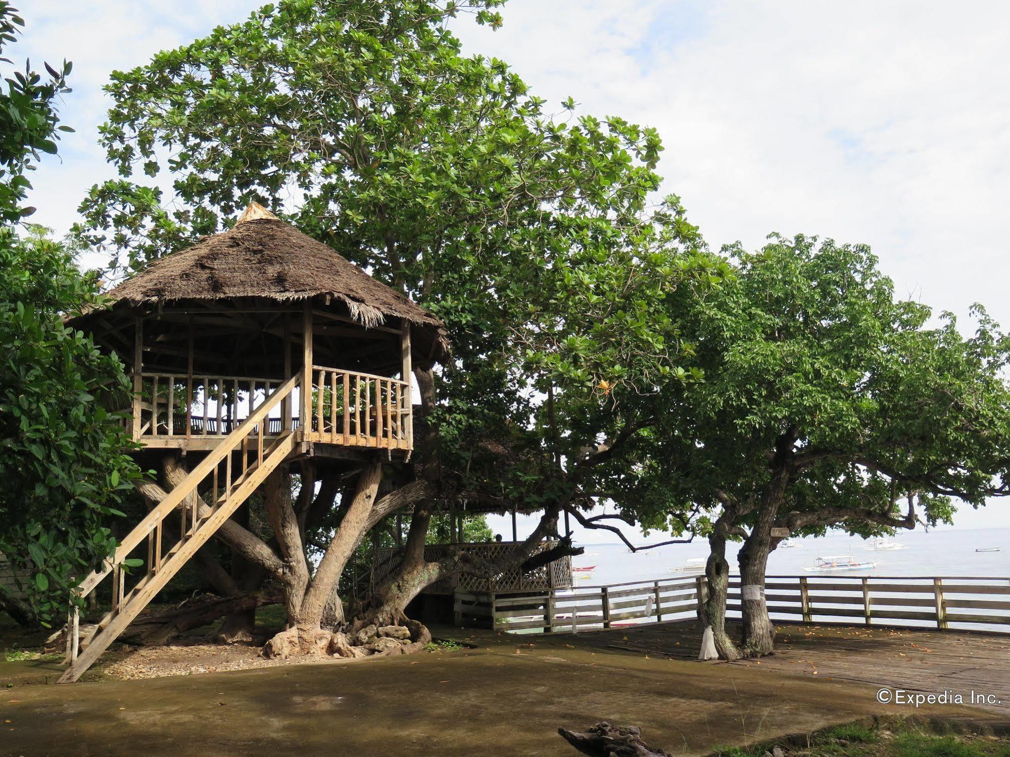 Kalipayan Beach Resort & Atlantis Dive Center 邦劳 外观 照片