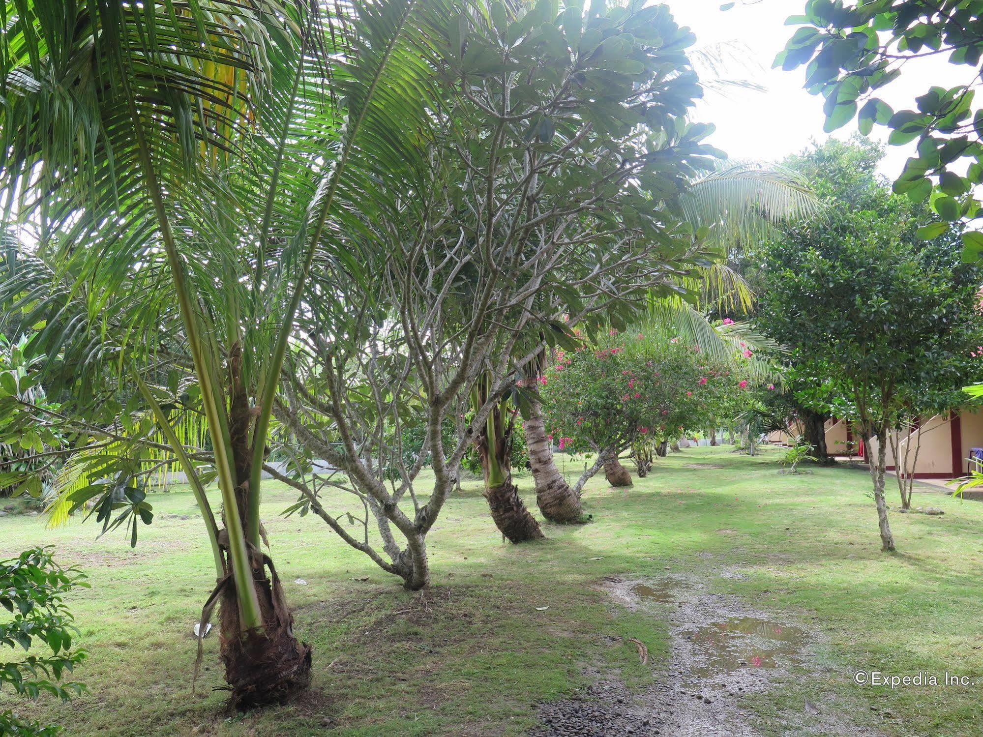 Kalipayan Beach Resort & Atlantis Dive Center 邦劳 外观 照片