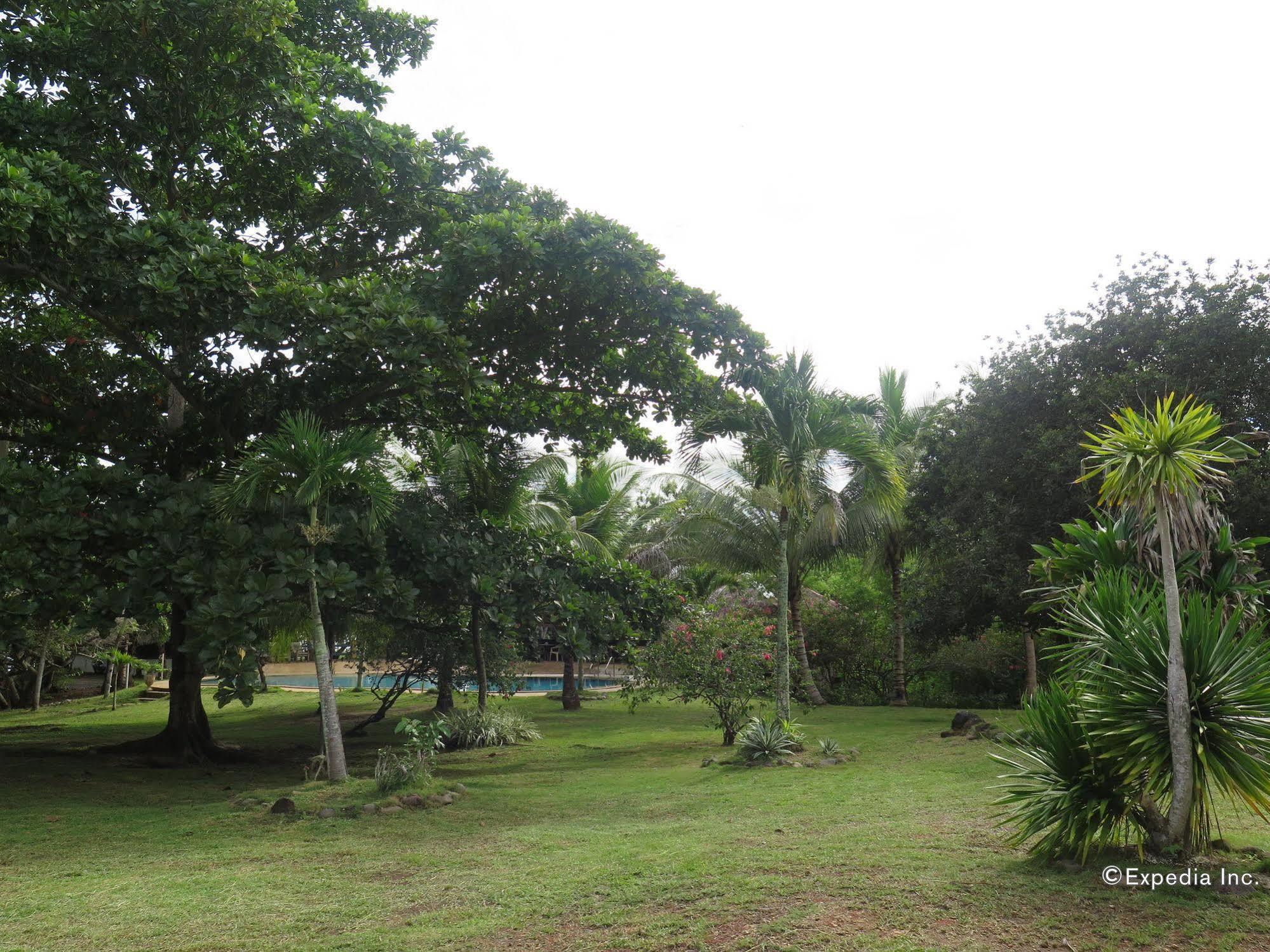 Kalipayan Beach Resort & Atlantis Dive Center 邦劳 外观 照片
